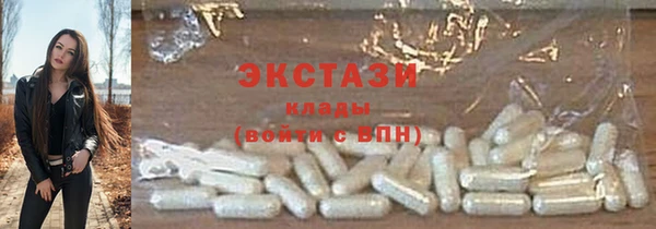ECSTASY Бородино