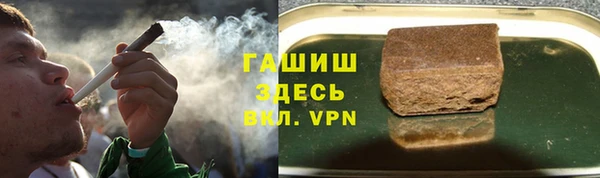 индика Володарск