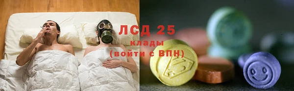 ECSTASY Бородино