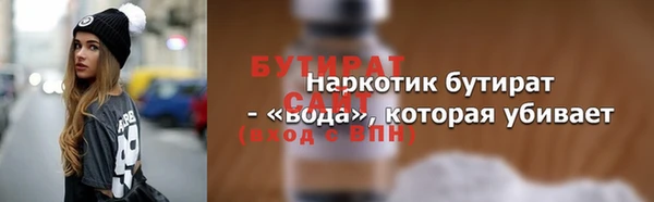 индика Володарск