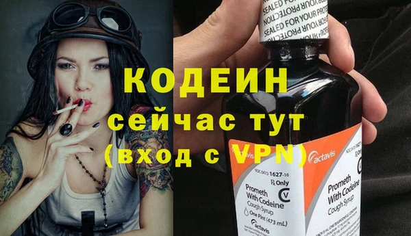 ECSTASY Бородино