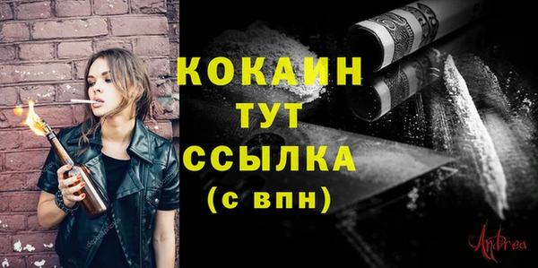 гашик Богданович
