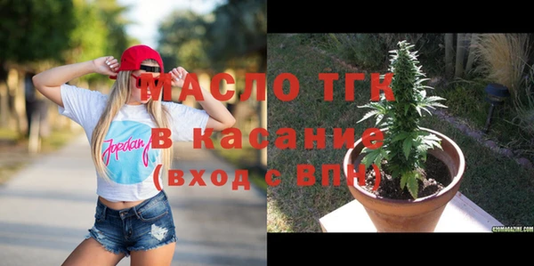 ECSTASY Бородино