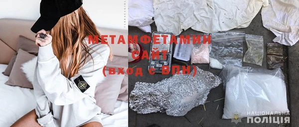 индика Володарск