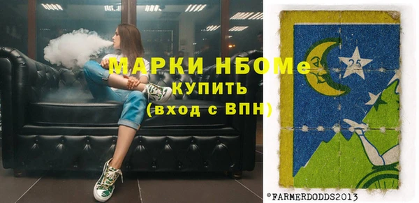 ECSTASY Бородино