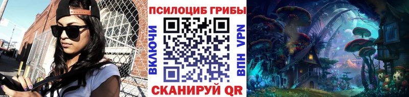 ссылка на мегу ТОР  Духовщина  Галлюциногенные грибы Psilocybe 